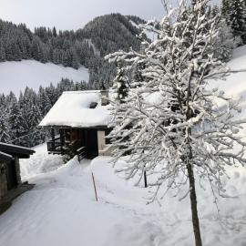 Chalet LYS Apartment 14 Rue Sigma, hotel v mestu Champoussin