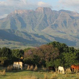 Ardmore Guest Farm, hotel em Champagne Valley