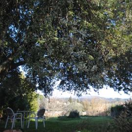 Fattoria di Malavolta