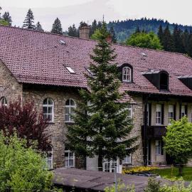 Waldliebe Spiegelhütte - Ferienwohnung am Bach