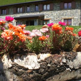 Agriturismo Le Radici