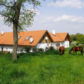 wundervoll eben - CHALETS & PLÄTZE voller WUNDER - NOTSCHKERL & FEINIS