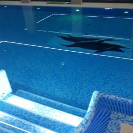 Tasarz Spa Ośrodek Wczasowy, hotel a Rewal