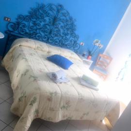 B&B Anny