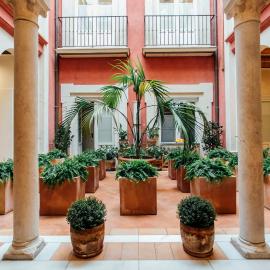 Casa Patio del Siglo XIX