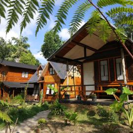 Canyon Jungle Stay, hotelli kohteessa Bukittinggi