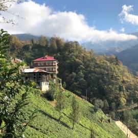 Gunguli Pansiyon, Hotel in Kukunat