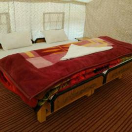 The Buddha Camp - Pangng