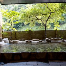 Kawayu Onsen Fujiya, hotel a Hongū