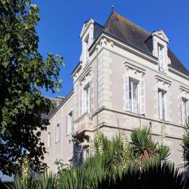 Vignoble Château Piéguë - winery, hotel a Rochefort-sur-Loire