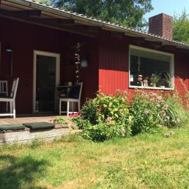Schwedenhaeuschen-am-See-einfach-Lagom
