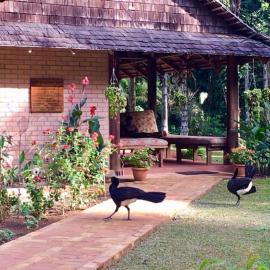 ATTA Rainforest Lodge, hótel í Surumatra