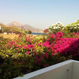 Porto Milos, hotel u gradu 'Adamas'
