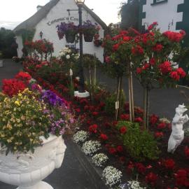 Teresas Cottage, hotell i Donegal