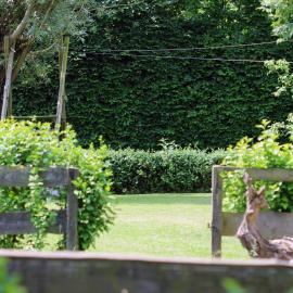 De Cameleon, hotel en Waarschoot
