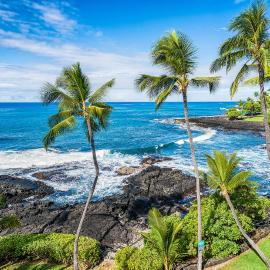 Oceanfront Luxury Condo