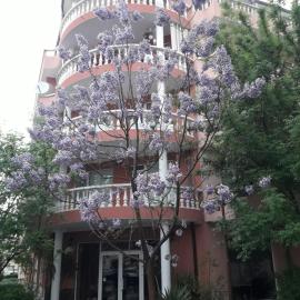 Art Guest House Orchidea, hotel in Pomorie