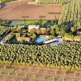 Podere Campi al Mare, hotel en Donoratico