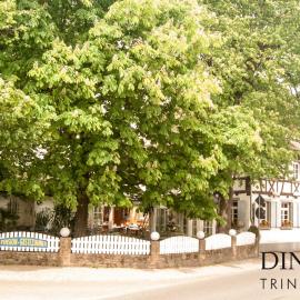 Dino's Trinacria, hotel in Friesenheim