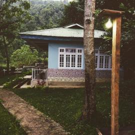 Temi Kothi Homestay, hotel in Temi