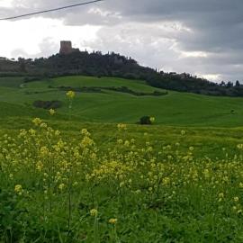 La Casa del susino