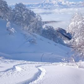 Nozawa Dream Central