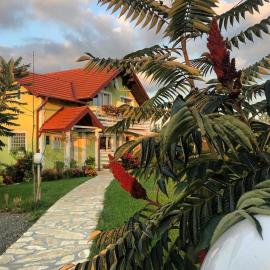 House Antonia