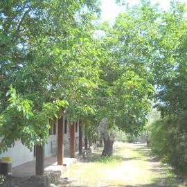 Agriturismo Su Tiresi