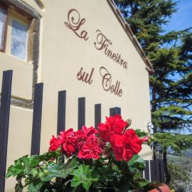 La Finestra sul Colle