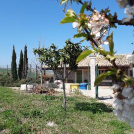 Villa Lemme, hotel in Montenero di Bisaccia