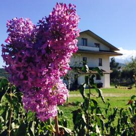 Agriturismo Le Terre d'Abruzzo Country House