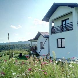 Pensiunea La Poarta Bucovinei, hotel in Suceava