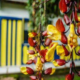 Chalet Villa Alejandra Del Pilar, khách sạn ở Quimbaya