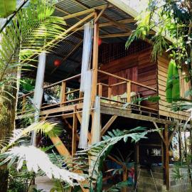 Tranquila - Jungle Cabin for Nature Retreat, hotel in Manzanillo