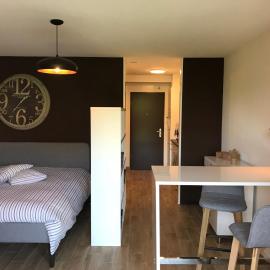 Large Studio Near Epfl And Lausanne City Center, hotel in Ecublens