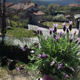 moonflower, hotel in Pliskovica