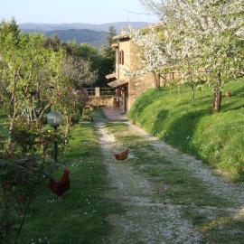 Podere La Vigna Locazione Turistica
