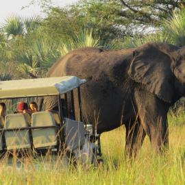 Tembe Elephant Park Lodge, Hotel in Sihangwane