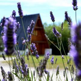 Cabañas Nevis, excelente ubicación, hótel í El Calafate