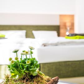 Hotel-Pension Treppengasse Nr 6, ξενοδοχείο σε Altenburg