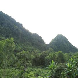 Tam's Homestay