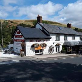 Llew Coch B&B formerly The Red Lion inn, hotel a Llanfihangel-nant-Melan