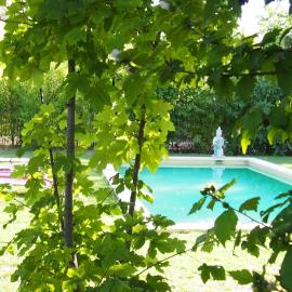 L'Islo Bamboo, hotel in Saumane-de-Vaucluse