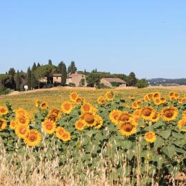 Il Poggio B&B, hotel em Ginestra