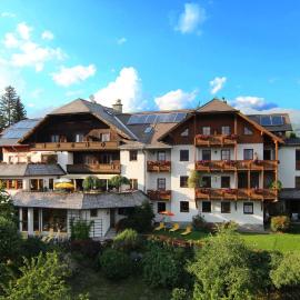 Hotel Häuserl im Wald, hotel v Mariapfarru