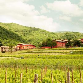 Agriturismo l'Uva e le Stelle, hotel sa Faedis