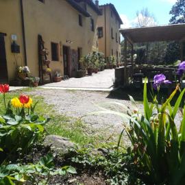 A Casa Del Tosi, hotel in Lucca