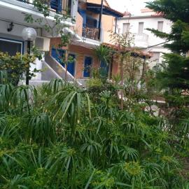 9 Musses Hotel Apartments, Hotel in Skala Mistegnon