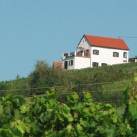 Kellerstöckl Eisenberg/Pinka Weiner, Hotel in Eisenberg an der Pinka
