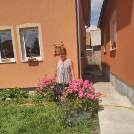 Apartmani ,,Bato,,, hotell i Sjenica